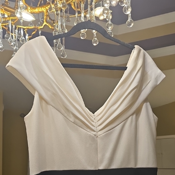 Tadashi Shoji Cream and Black Midi Dress - Picture 6 of 13